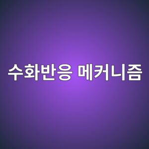 콘크리트 수화반응에 따른 강도 발현 특성 분석 5 ec8898ed9994ebb098ec9d91 eba994ecbba4eb8b88eca698 1785061418