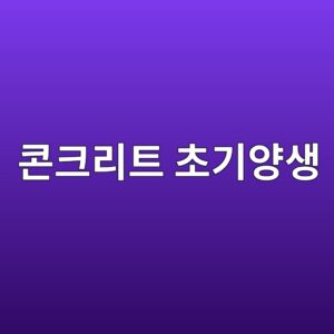 콘크리트 초기양생 조건별 강도 비교 6 ecbd98ed81aceba6aced8ab8 ecb488eab8b0ec9691ec839d 1785135603