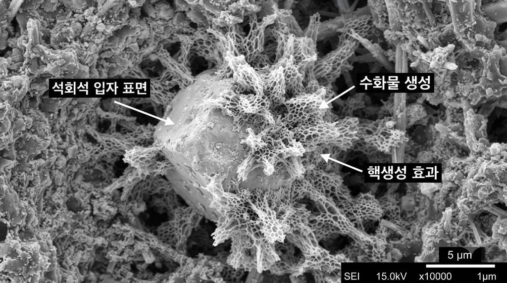 C S H hydrate growth on limestone 20260928203942