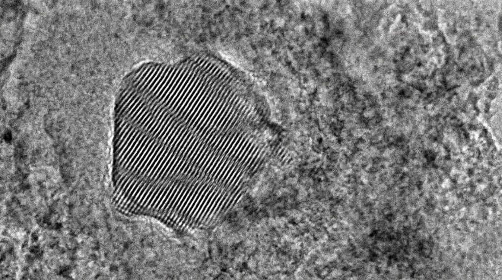 투과전자현미경(TEM)으로 C-S-H 나노구조와 결정격자를 분석하는 원리 4 Microscopy showing cement hydrat… 20261018171702